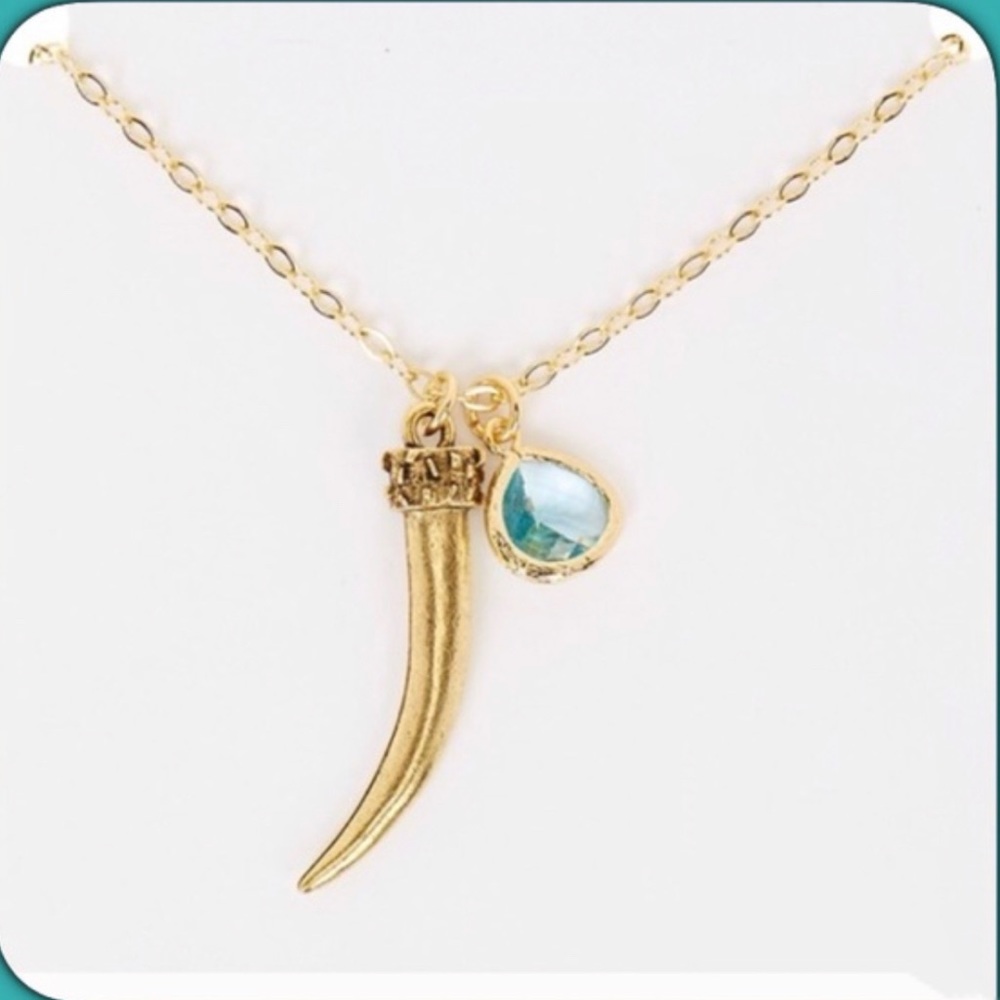 Jami Aqua Charm Tusk Pendant
